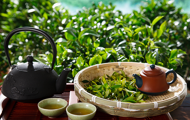 cup是什么意思，cup是什么意思英语（茶在外国的N种喝法）
