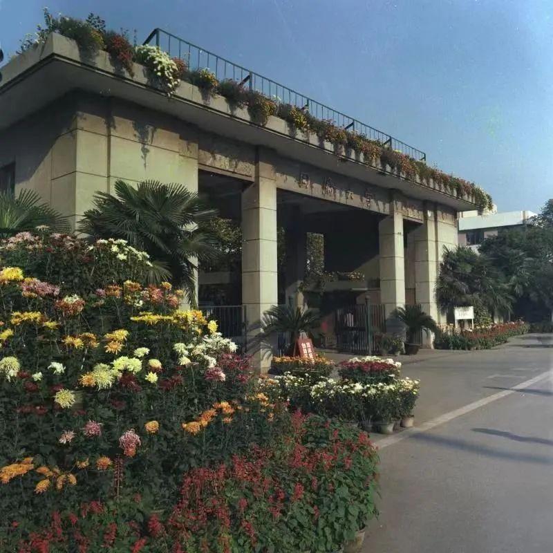 同济大学沪西校区(同济大学医学院在哪个校区)