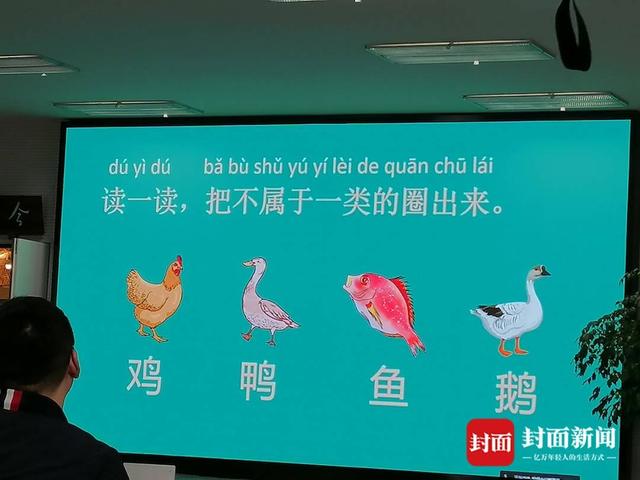 鱼属于动物吗，鱼属于动物吗英语（把不属于一类的选出来”你怎么选）