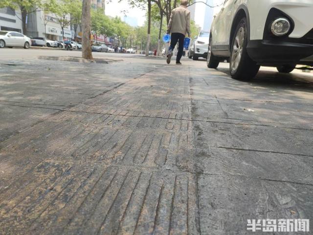 黄山栾病虫害及防治，病虫害防治措施及常用的措施有哪些方法