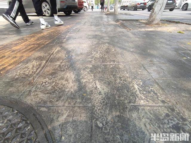 黄山栾病虫害及防治，病虫害防治措施及常用的措施有哪些方法
