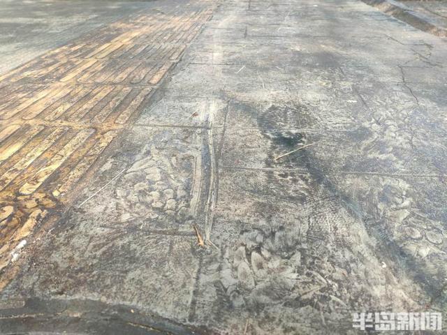 黄山栾病虫害及防治，病虫害防治措施及常用的措施有哪些方法