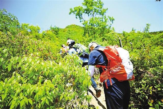 深圳十峰是哪些（“深圳十峰”全民登山活动两年超过33万人次打卡“5·23”=我爱山）