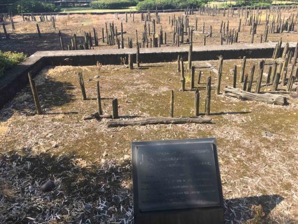 云南水乡泽国指的是哪个地方，云南哪个地方被称为水乡泽国（文明诞生地的“不优越”）