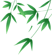 端午节的习俗有哪些，春节的风俗有哪些 简介20字（端午节传统习俗，你知道哪些）