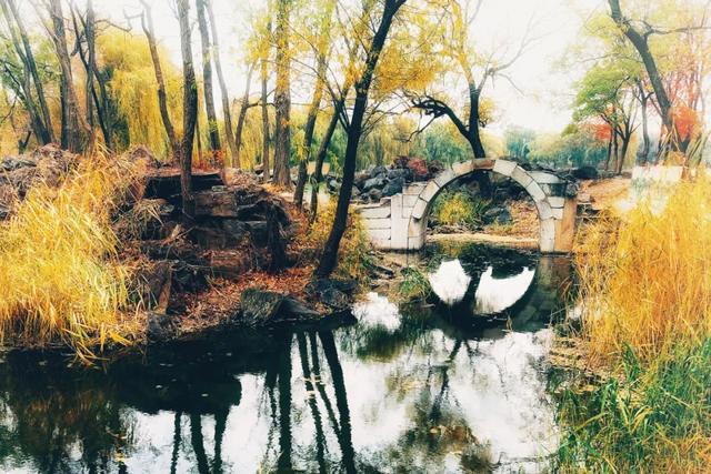 狮子林平面图，狮子林平面图抄绘（圆明园与皇家园林中的精神世界）