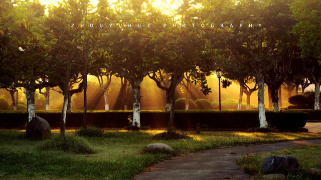 上海外国语大学排名全国第几，上海外国语大学排名2022年最新排名（这所低调的“211”要藏不住了）