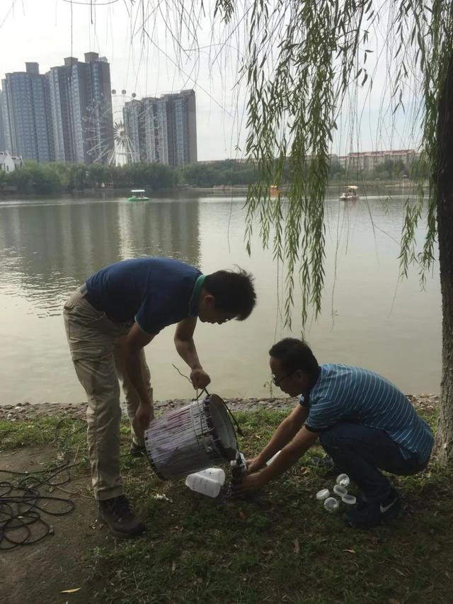 二氧化硅的作用与功效，二氧化硅的功效与作用（二氧化硅到底用来做什么）