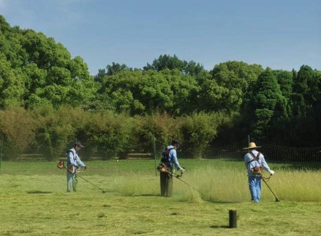 上海百货商场，上海百联超市（购物中心、百货商场6月1日后全面恢复线下营业）