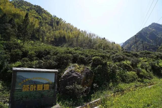 姜维平博客，姜维平 文汇报（江西武夷山以生态促发展）