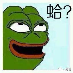 私家意式烹青蛤，青蛤怎么做（蛤蜊！噶力？噶辣？葛乐）