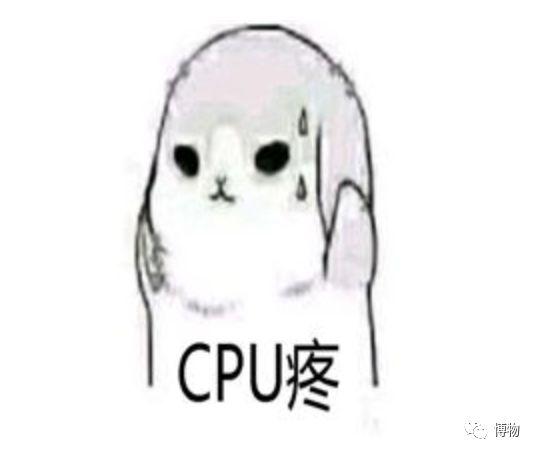 私家意式烹青蛤，青蛤怎么做（蛤蜊！噶力？噶辣？葛乐）