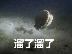 私家意式烹青蛤，青蛤怎么做（蛤蜊！噶力？噶辣？葛乐）