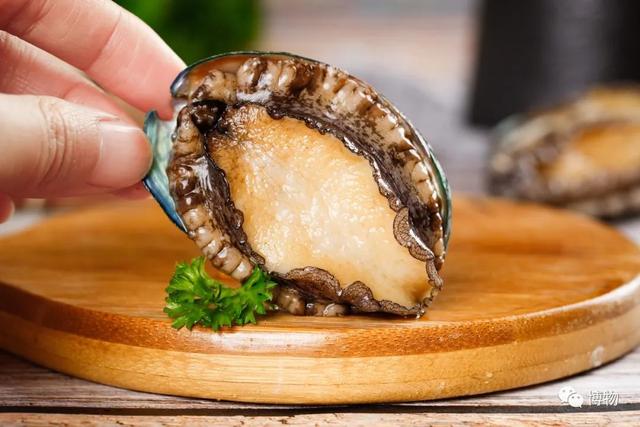 私家意式烹青蛤，青蛤怎么做（蛤蜊！噶力？噶辣？葛乐）