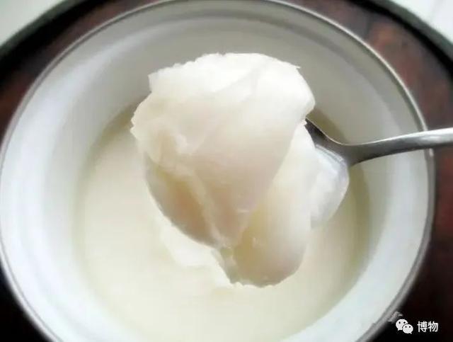 私家意式烹青蛤，青蛤怎么做（蛤蜊！噶力？噶辣？葛乐）