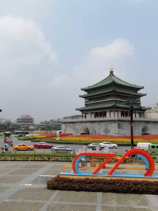 青山绿水茶的功效与禁忌，青山绿水茶叶的禁忌（山海间，人生处处是茶缘）