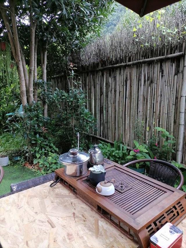 青山绿水茶的功效与禁忌，青山绿水茶叶的禁忌（山海间，人生处处是茶缘）