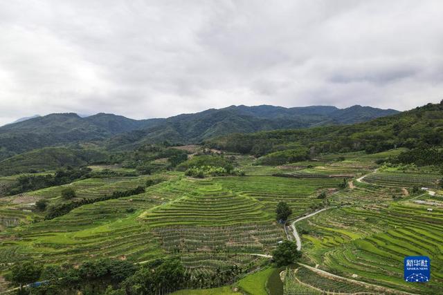五指山在哪里，五指山在哪里属于哪个省（天空之眼瞰五指山）