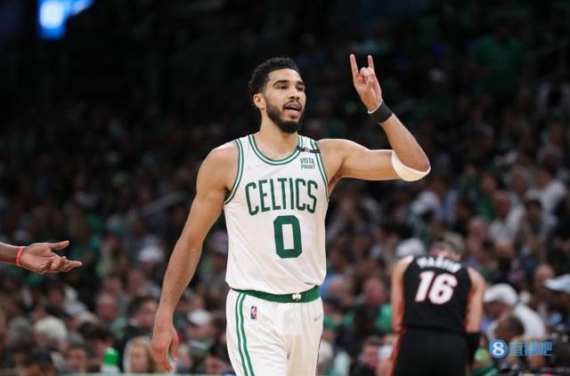 獭兔的养殖技术，獭兔的养殖技术视频（獭兔谈佩戴科比护肘）