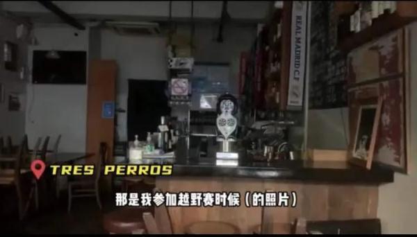 q我吧是什么意思，Q我吧是什么意思（每天都去喂延庆路面馆18岁的老猫）