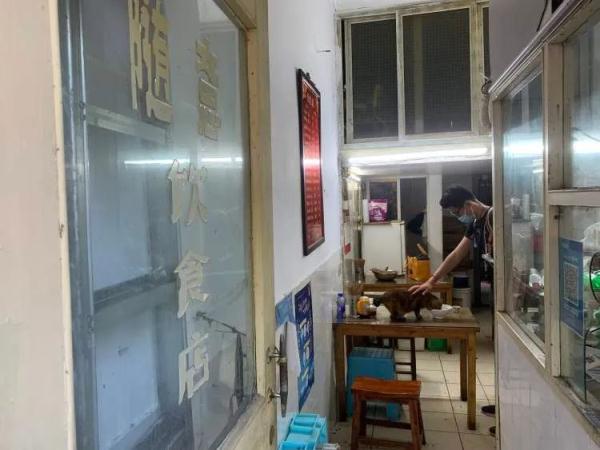 q我吧是什么意思，Q我吧是什么意思（每天都去喂延庆路面馆18岁的老猫）