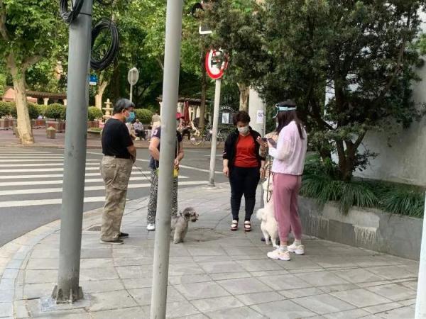 q我吧是什么意思，Q我吧是什么意思（每天都去喂延庆路面馆18岁的老猫）