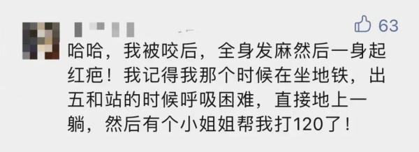 芝麻粒如何快速获取，如何快速获得芝麻粒有九种方法（有人被咬后进急诊……）