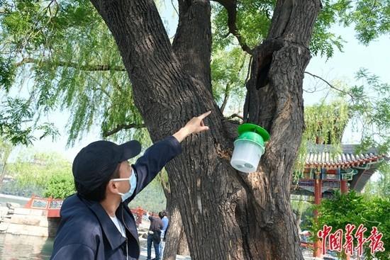 古人却云“千峰翠色”，千峰彩翠城关（颐和园“捉虫人”）