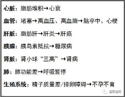 科学正确的减肥方法，科学正确的减肥方法是什么（胖墩墩如何正确减肥）