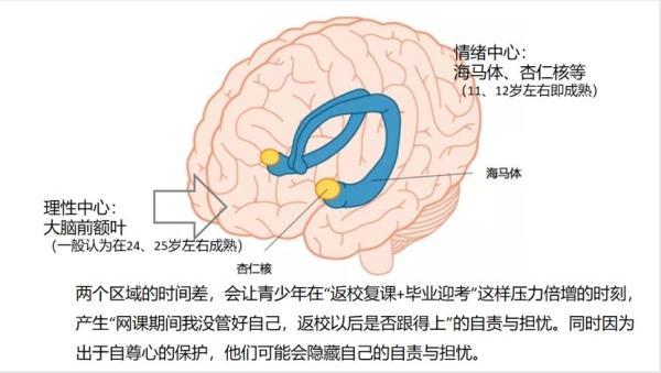 父母如何有效陪伴高中生孩子，高中生的母亲应该怎样陪孩子（父母如何陪伴孩子身心过渡）