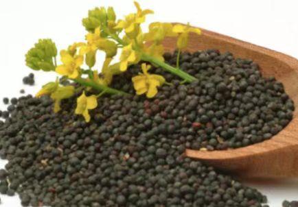 呋喃丹（呋喃丹别名，益阳一袋掺有农药的油菜籽被误卖（呋喃丹成份）