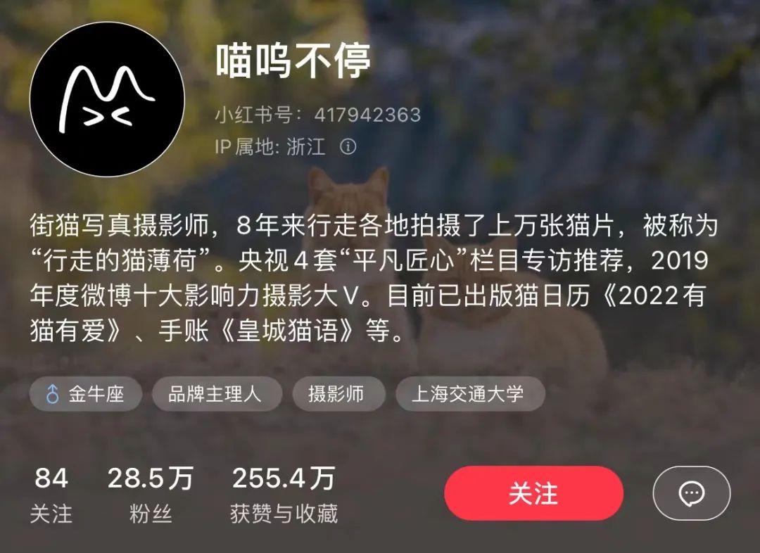 小红书涨粉攻略解析（小红书个人博主如何快速涨粉）