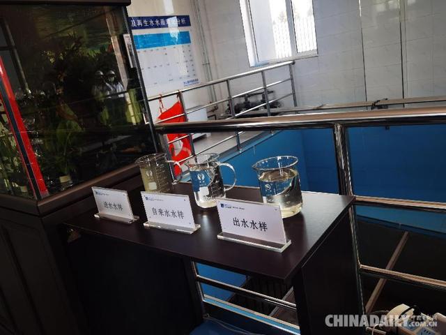 银川是哪个省的城市，宁夏是属于哪个省（“零距离”看宁夏银川高质量循环利用黄河水）