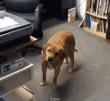 极限飞盘规则！，极限飞盘规则犯规（追光，这届年轻人为什么爱飞盘）