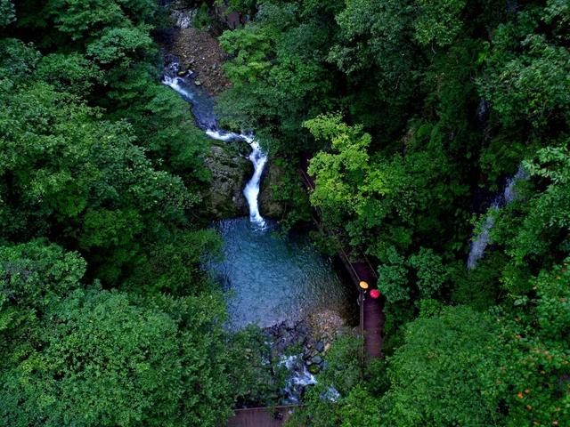 为什么要保护环境，保护环境的三个理由（环境保护对人类的重要性）