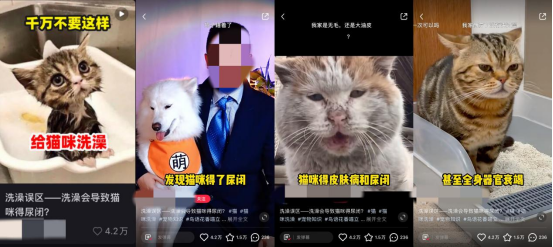 小红书的视频怎么保存下来，小红书视频怎么下载保存（小红书爆文率30%的套路）