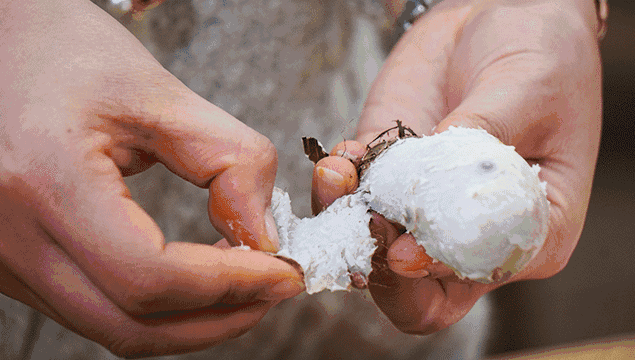 中国最爱芋头的省份，真的好糯，奉化芋头