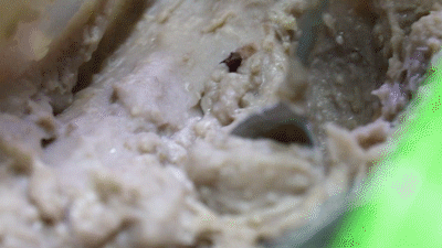 中国最爱芋头的省份，真的好糯，奉化芋头