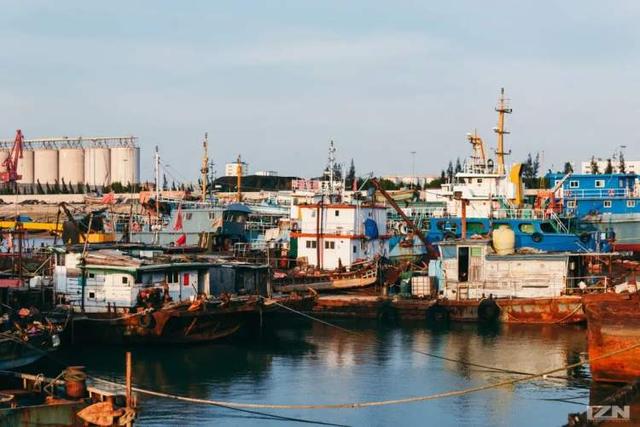 中国最爱芋头的省份，真的好糯，奉化芋头