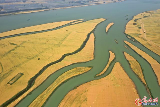 成熟的图片，经典成熟的文字图片精选  但愿你我不被红尘扰（组图丨喜看麦田千层浪）