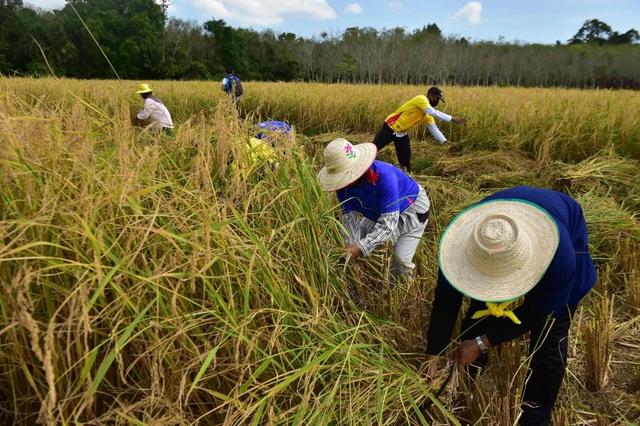 泰国时差和北京时间，泰国与北京的时差是多少（新闻8点见丨泰国越南联手抬高米价）