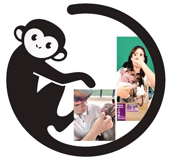 驯养繁殖许可证，驯养繁殖许可证多少钱（饲养员带猴子做直播引网友质疑）