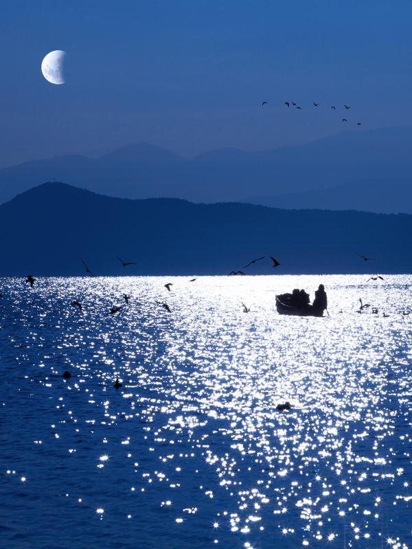 原来我们都是过客是什么歌，人生过客的经典句子（他撩动了网友的古诗词DNA）