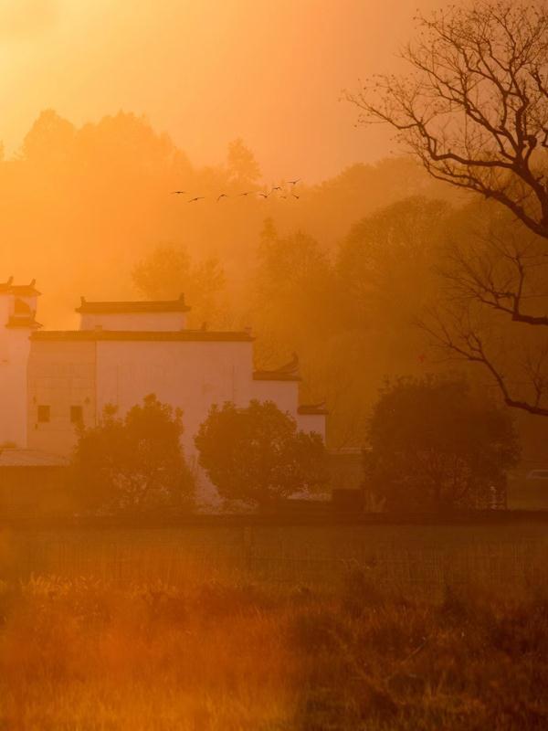 原来我们都是过客是什么歌，人生过客的经典句子（他撩动了网友的古诗词DNA）