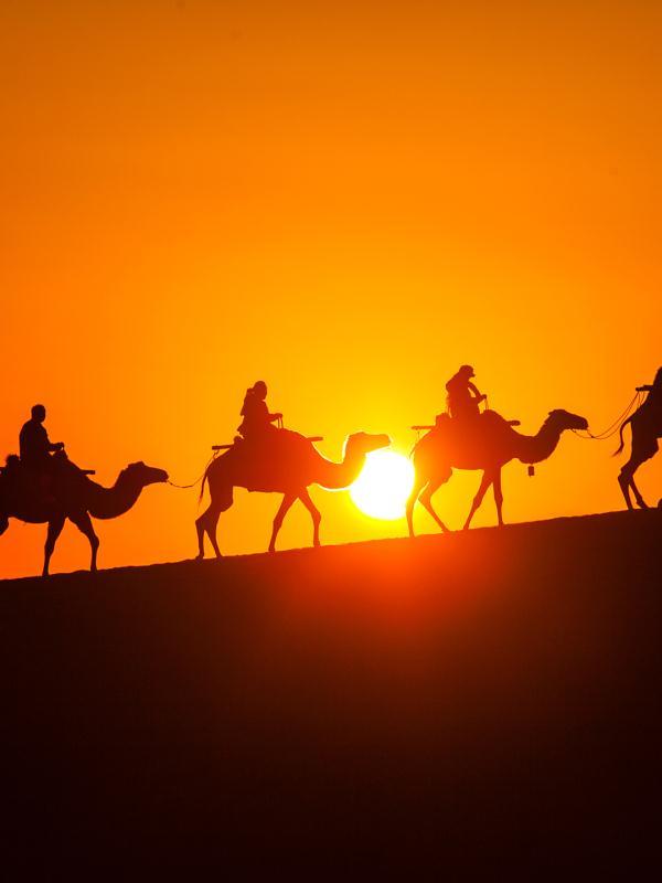 一张照片6万点赞!他撩动了网友的古诗词dna