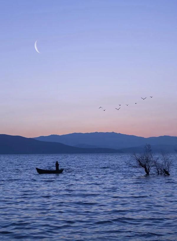 原来我们都是过客是什么歌，人生过客的经典句子（他撩动了网友的古诗词DNA）
