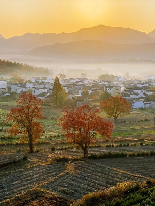 原来我们都是过客是什么歌，人生过客的经典句子（他撩动了网友的古诗词DNA）