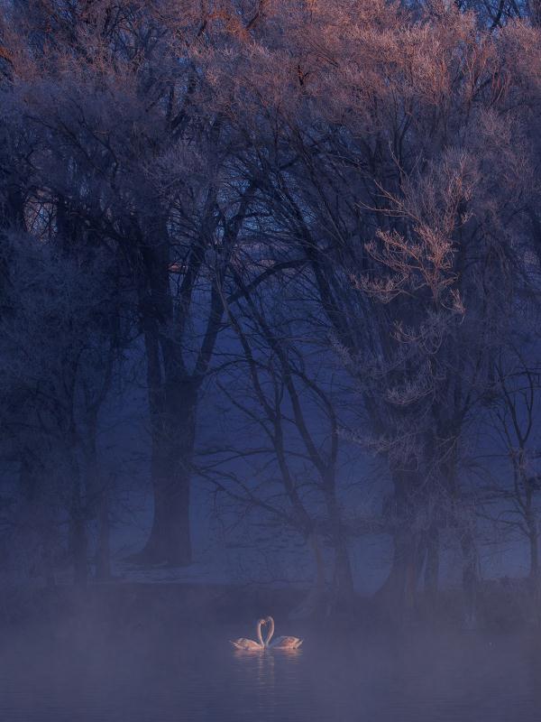 原来我们都是过客是什么歌，人生过客的经典句子（他撩动了网友的古诗词DNA）