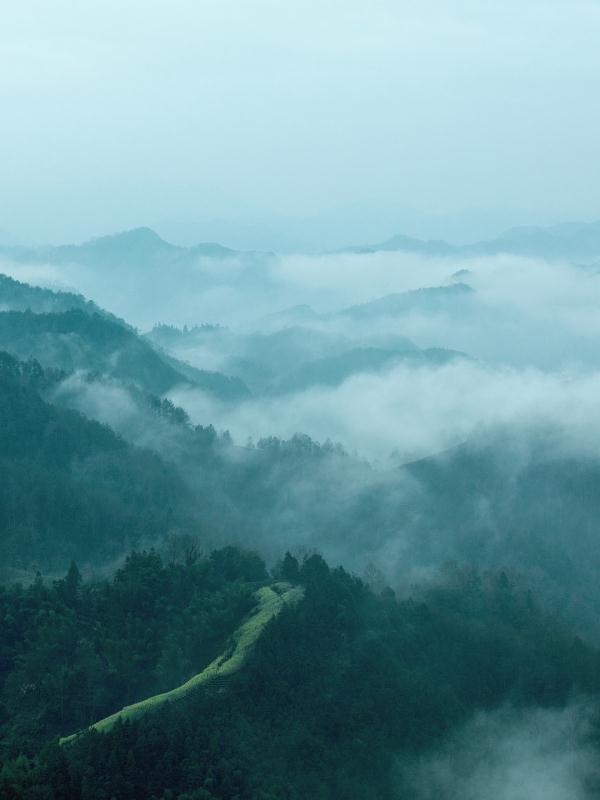 原来我们都是过客是什么歌，人生过客的经典句子（他撩动了网友的古诗词DNA）