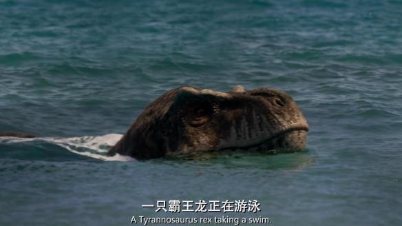 远古生物真实纪录片，史前生物大揭秘纪录片（BBC做出了二十年来最棒的恐龙纪录片）